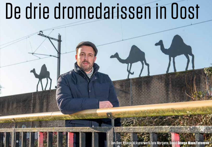 De drie dromedarissen in Oost